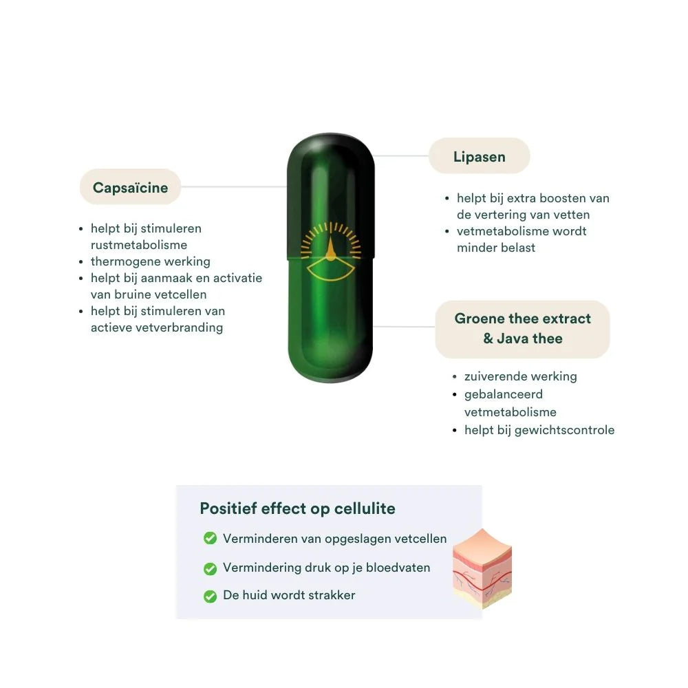 Fat Burner